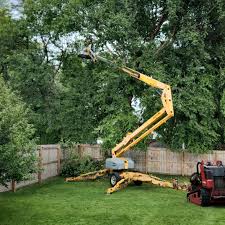 Trusted East Spencer, NC Tree Removal Services Experts